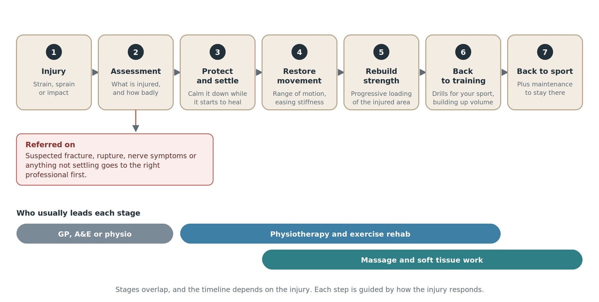 Seven step timeline from injury to back to sport: injury, assessment, protect and settle, restore movement, rebuild strength, back to training, back to sport, with what helps at each stage. A red box off the second step lists when to be referred on. Below the timeline, three coloured bars show who usually leads each stage: GP, A and E or physio; physiotherapy and exercise rehab; massage and soft tissue work