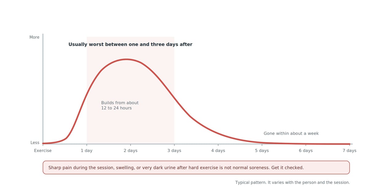Line graph tracking soreness over the week after exercise. It stays low during the session, builds from about 12 to 24 hours, peaks between one and three days after, then eases and is gone within about a week