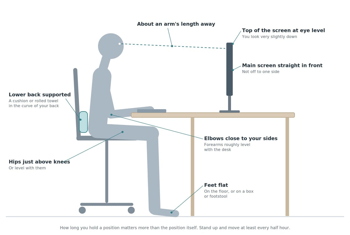 Ergonomic office seating guide showing proper posture and positioning for computer workstation use